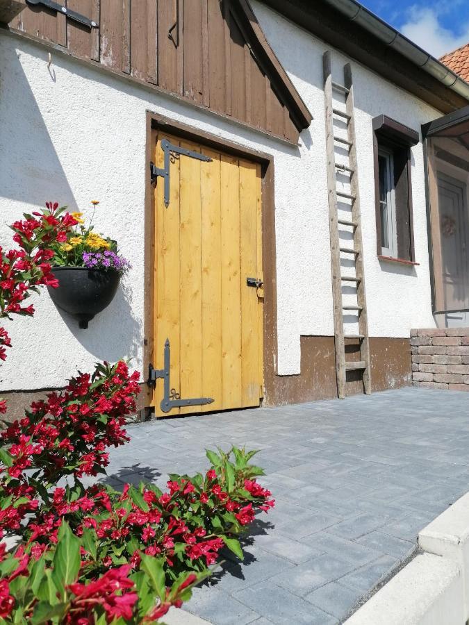 Vila Harzhaus Ida Elbingerode  Exteriér fotografie